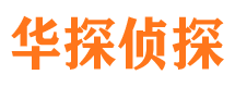 安源市私家侦探